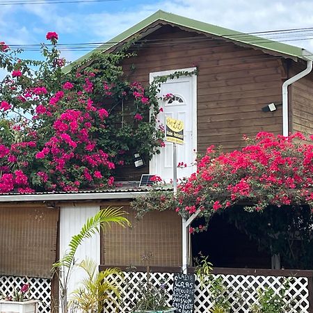 Le Cosy Bungalow De Lili / 5Min De L'Aeroport Les Abymes Kültér fotó