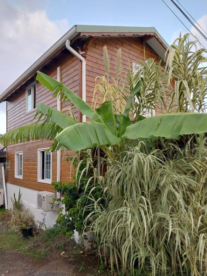 Le Cosy Bungalow De Lili / 5Min De L'Aeroport Les Abymes Kültér fotó